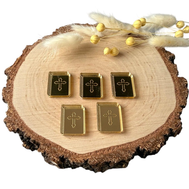 WhatsApp Image 2026-01-27 at 17.42.52-Photoroom.jpg