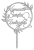 kspp2.png