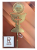 IMG-20250821-WA0049-Photoroom.png