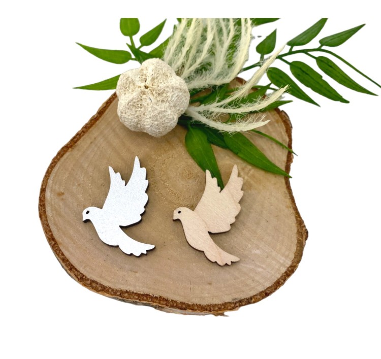 IMG_0386-Photoroom (1).jpg