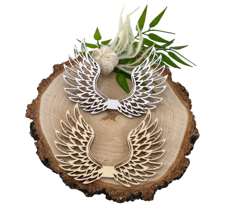 IMG_0547-Photoroom.jpg
