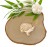 IMG_2562-Photoroom.jpg