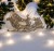 IMG_3090-Photoroom.jpg